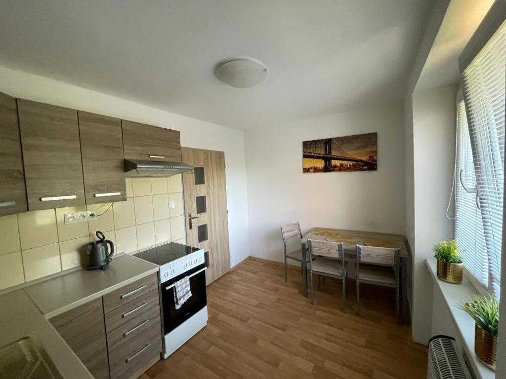 Apartment - Skolni *